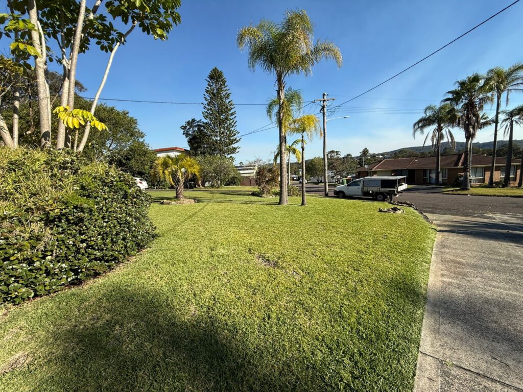Tidy yard with mowed grass
